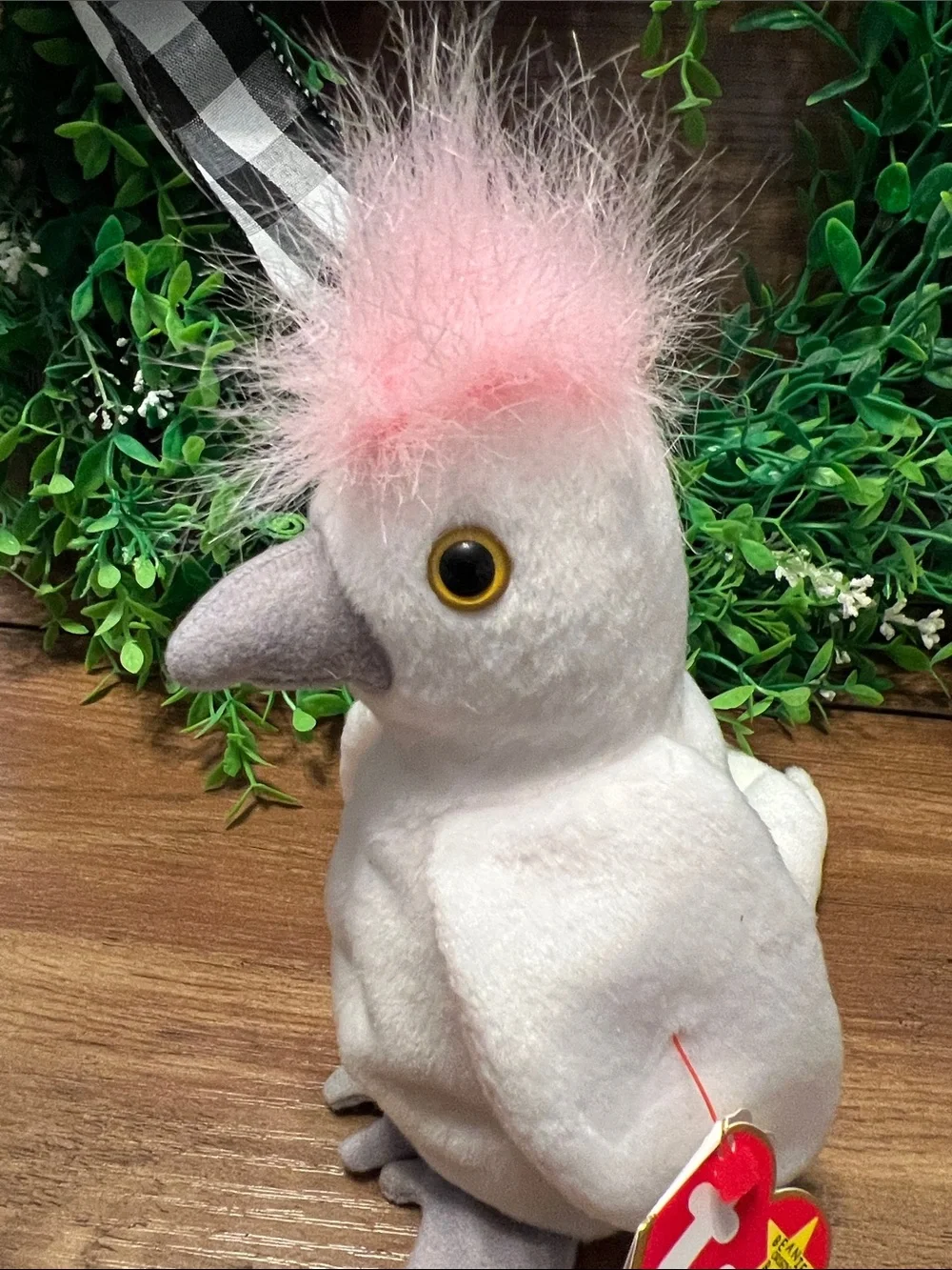 TY Beanie Baby Kuku the Cockatoo TAG ERRORS RARE RETIRED 1997 1998